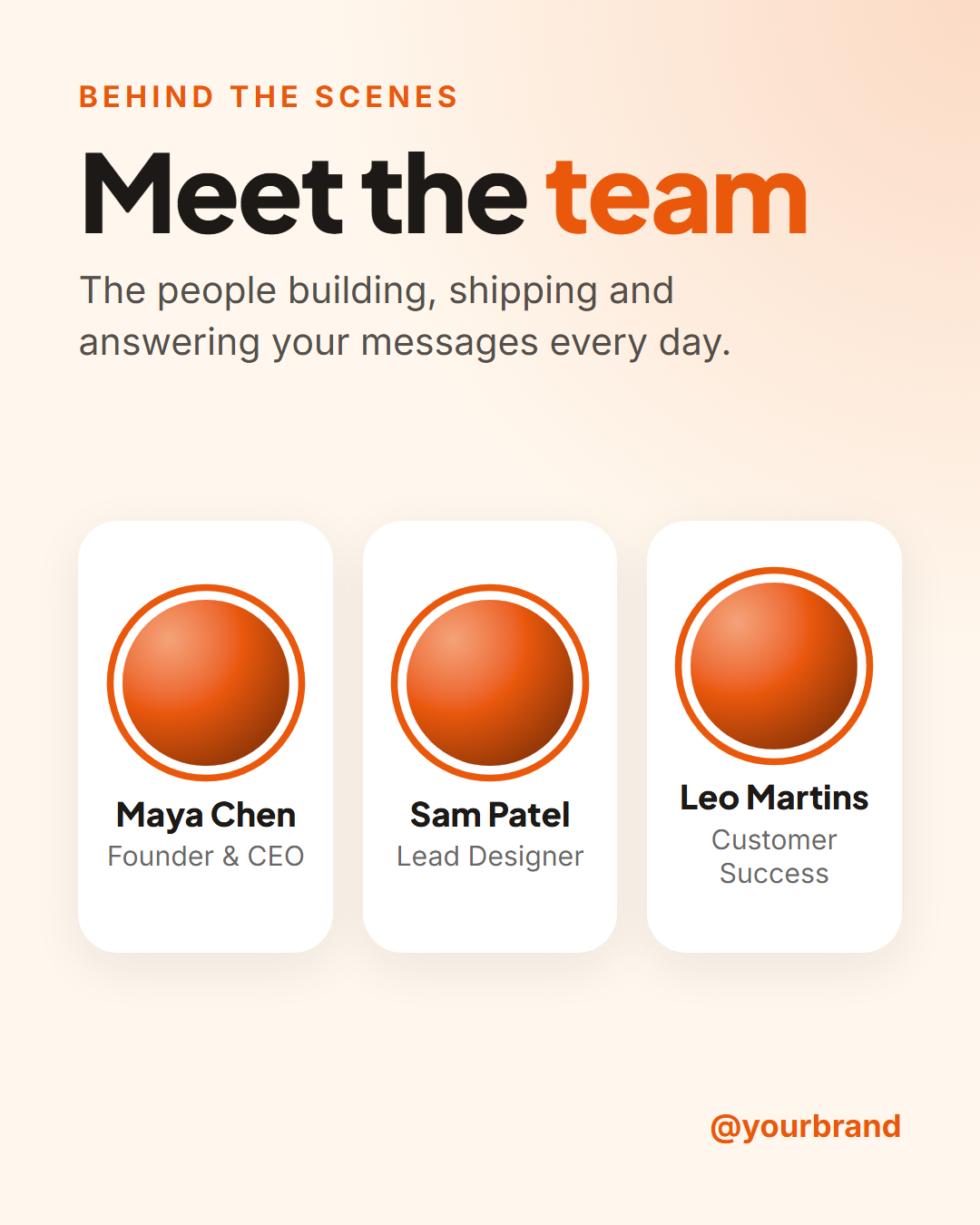Meet the Team template preview