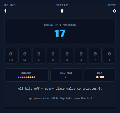 Binary Bit Flip Game