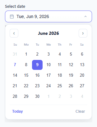 Screenshot of the Date Picker snippet rendered live