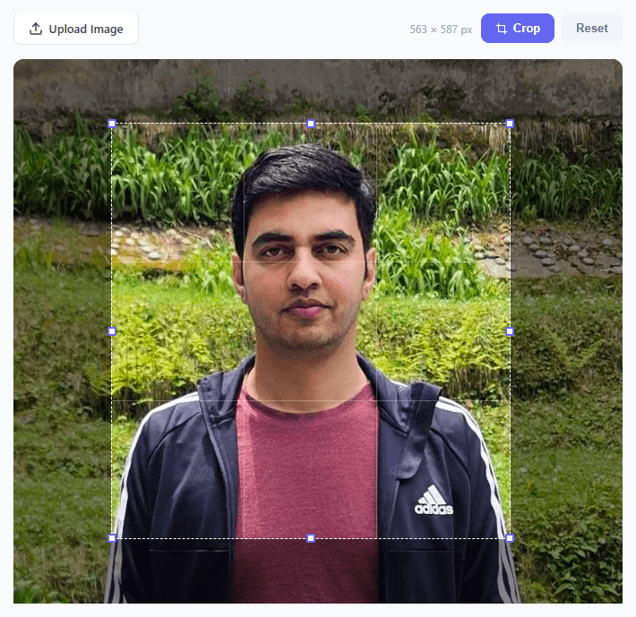 Screenshot of the Image Cropper snippet rendered live