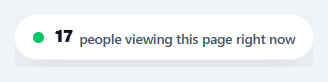 Screenshot of the Live Visitor Counter snippet rendered live